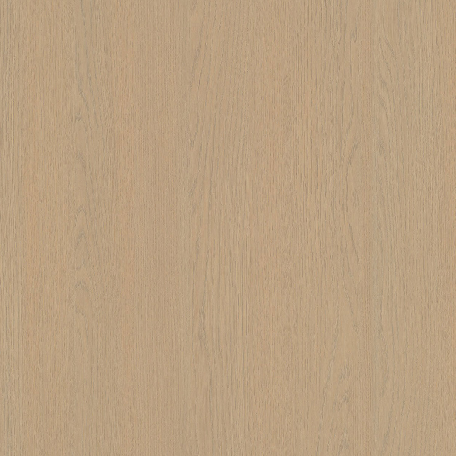 AG4530 Molteni Golden OaK - 